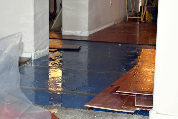 Professional Water Extraction technician working in Litchfield, MI